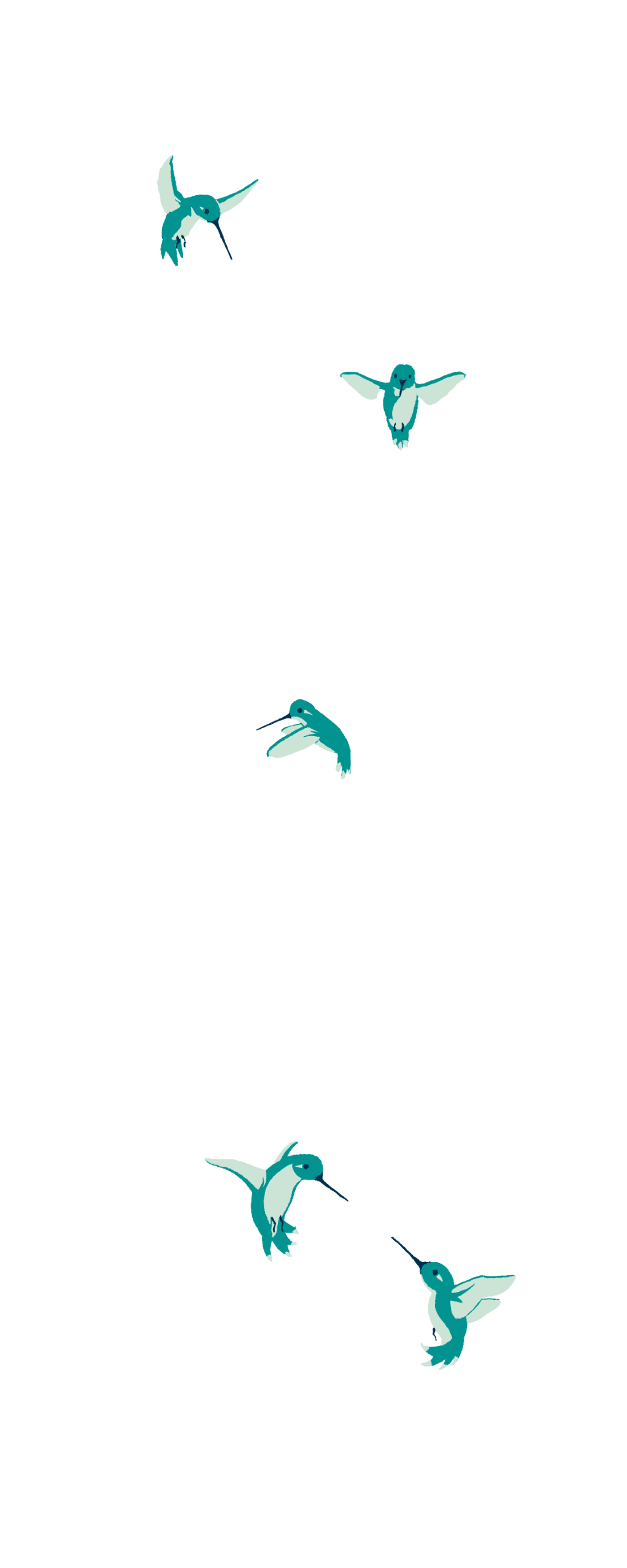 graphic of birds soaring