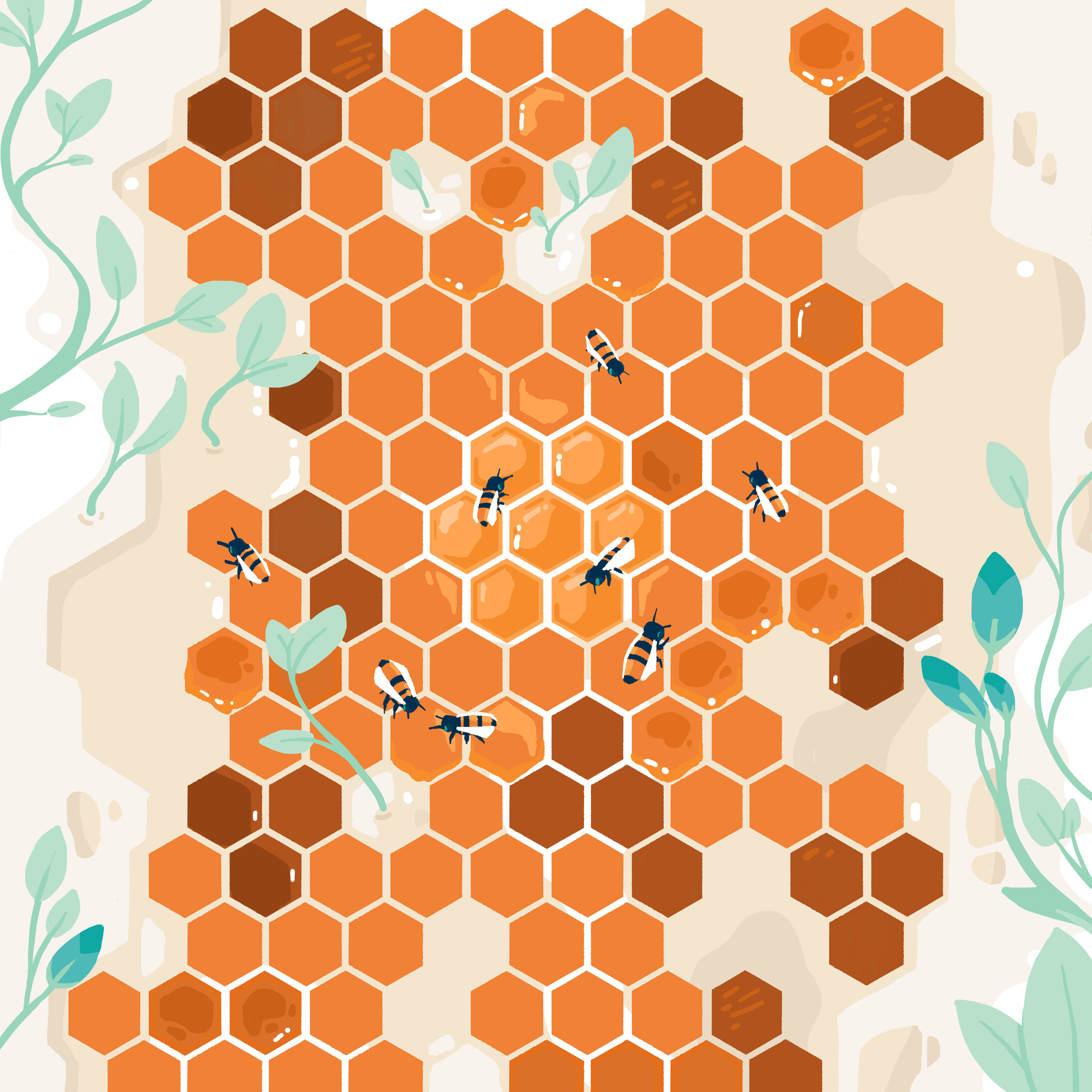bees and honeycombs